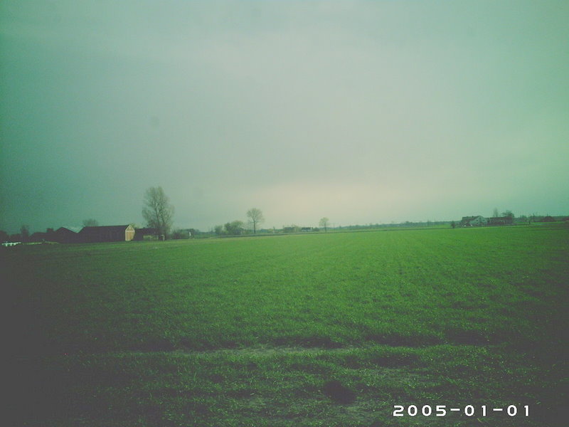 Rozległe pole zielonej trawy pod pochmurnym niebem, w tle widoczne zabudowania gospodarcze i pojedyncze drzewa, zdjęcie wykonane w pochmurny dzień.