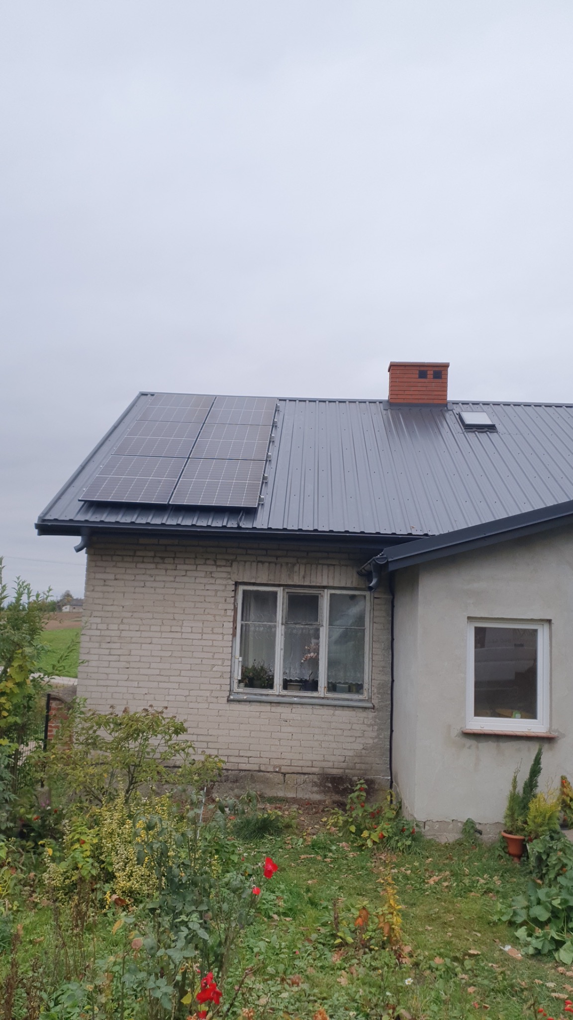 Dom jednorodzinny z szarą blachodachówką i panelami słonecznymi na dachu, widok z poziomu ogrodu z kwitnącymi czerwonymi różami.