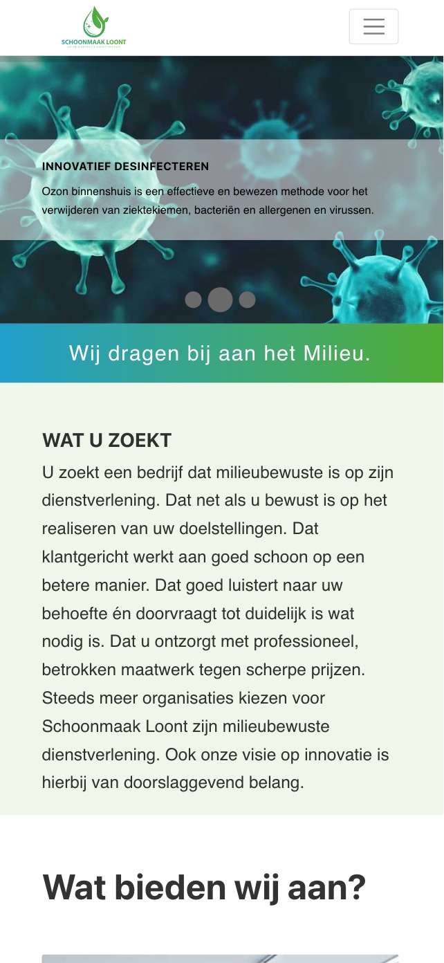 Strona internetowa firmy oferującej dezynfekcję ozonem, z wizualizacją wirusów i tekstem o innowacyjnej metodzie usuwania bakterii i alergenów.
