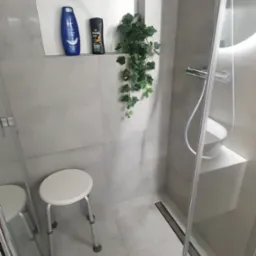 Jasna łazienka z kabiną prysznicową typu walk-in, z siedziskiem, wnęką z kosmetykami i sztuczną rośliną.