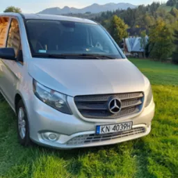 Srebrny Mercedes Vito zaparkowany na zielonej trawie z widokiem na góry i drewniane domy w tle, tablica rejestracyjna KN 4039H.