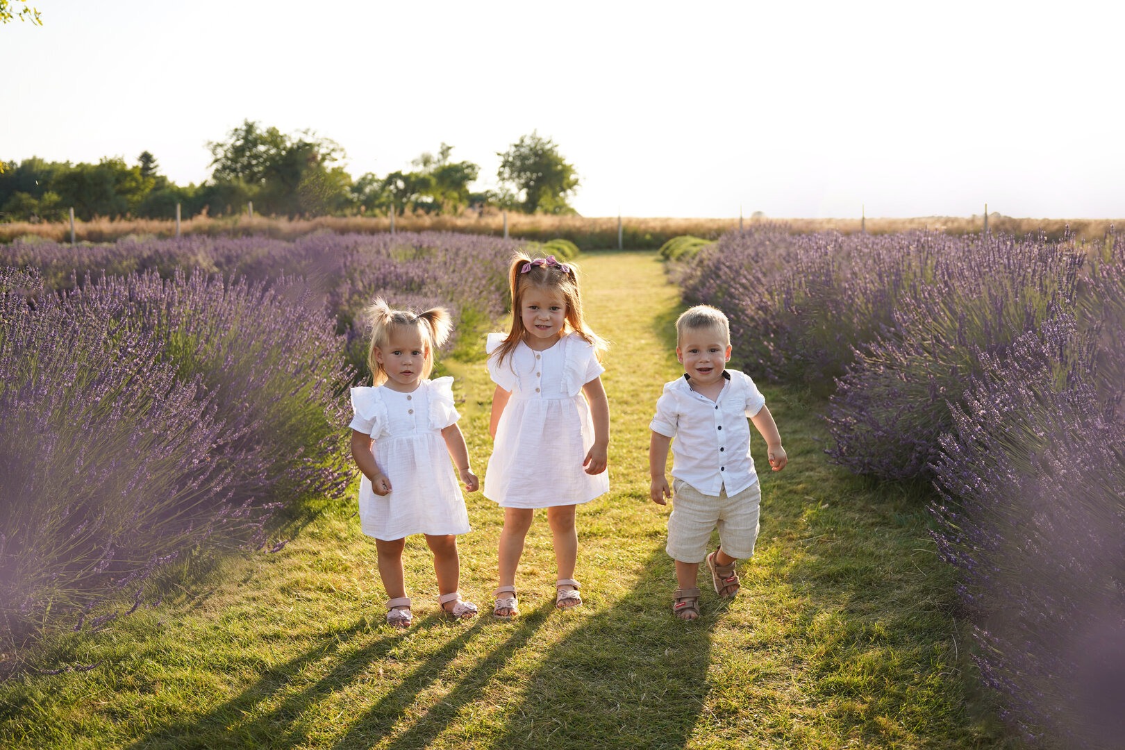 Troje dzieci w jasnych ubraniach pozuje na tle pola lawendy w słoneczny dzień, z delikatnym prześwietleniem w tle.