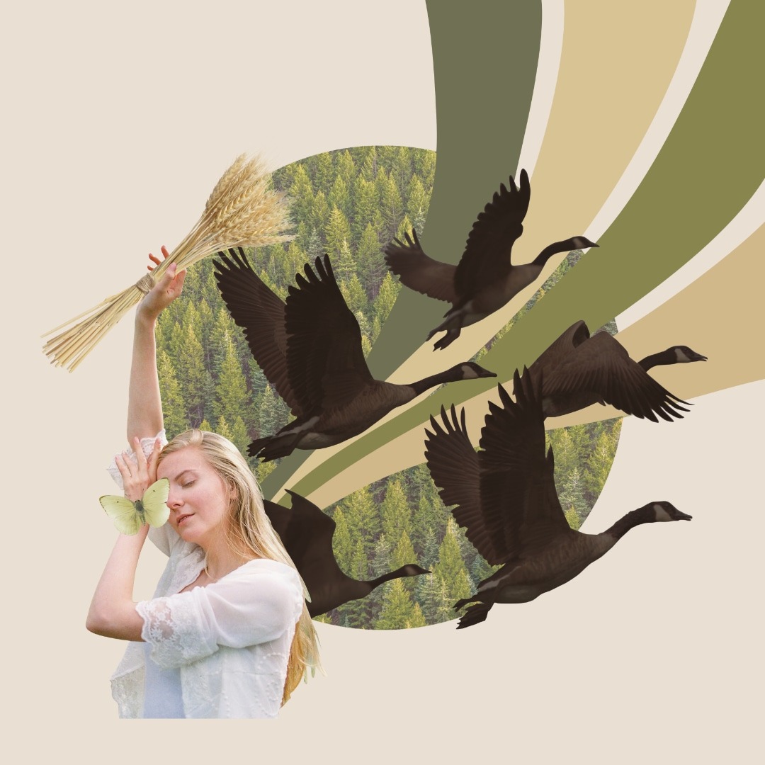 Kolaż: kobieta z zamkniętymi oczami, trzymająca snop zboża i motyla, na tle lasu, lecących gęsi i abstrakcyjnych pasów w odcieniach zieleni i beżu.