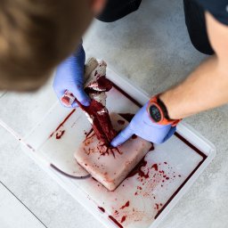 Kurs pierwszej pomocy Pętkowo 3