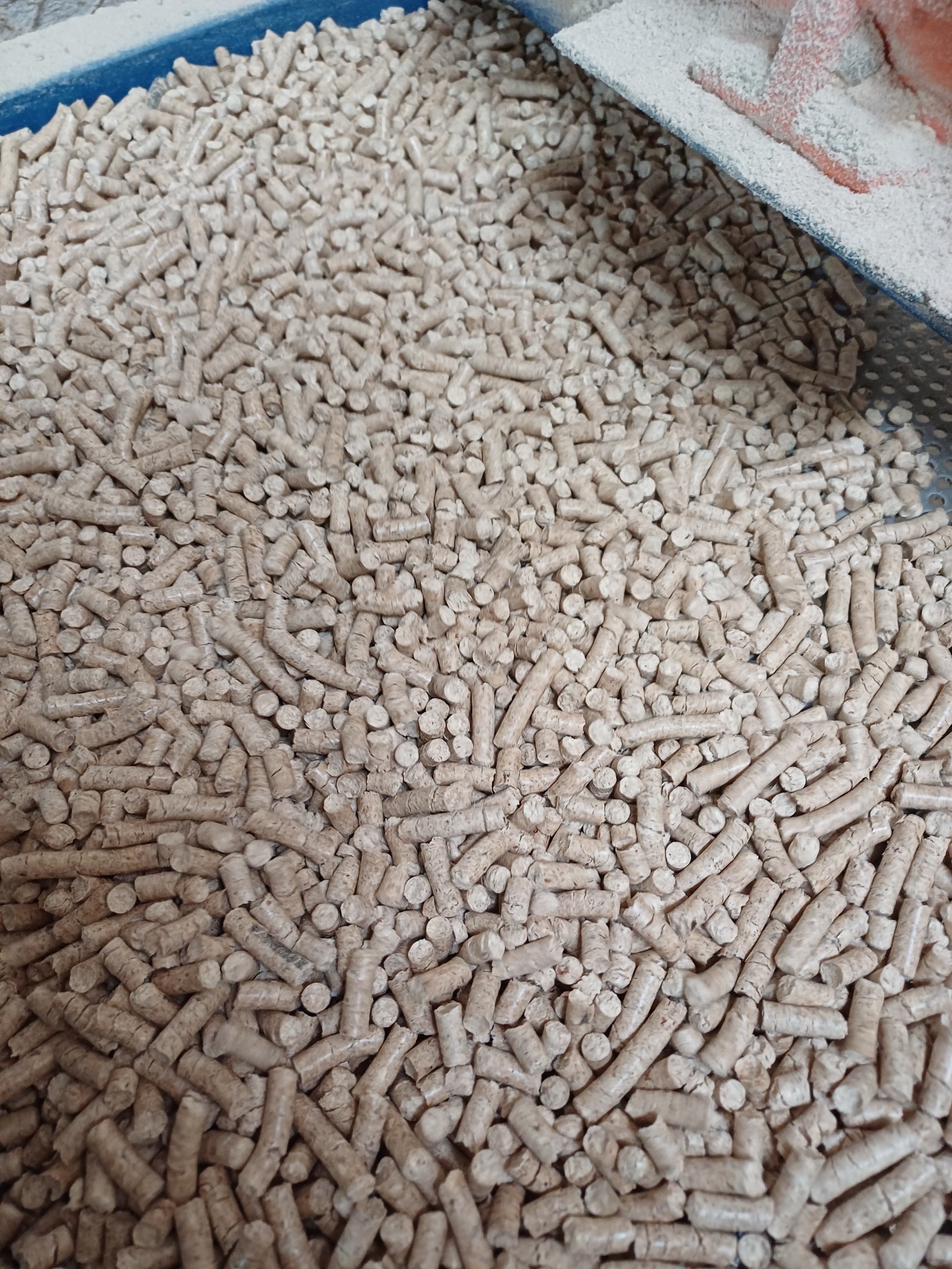 Jasny pellet drzewny w metalowej kuwecie z niebieską krawędzią, częściowo zasypany białym pyłem, widoczne z góry