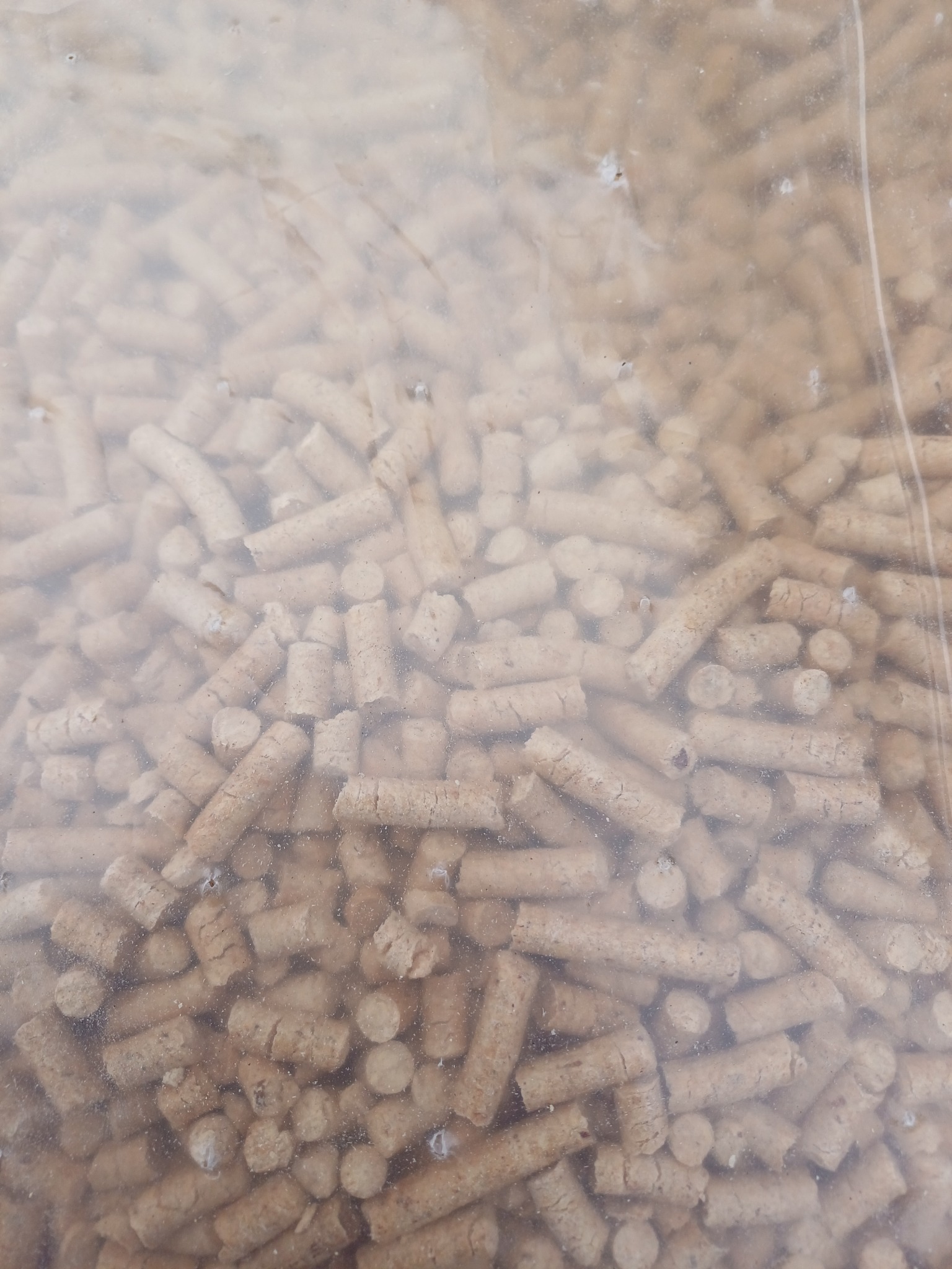 Pellet drzewny w przezroczystym worku, widoczne drobne zanieczyszczenia na powierzchni folii.