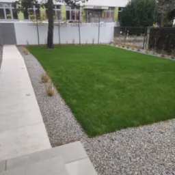 Trawnik zakładany w sierpniu... Zdjęcie z listopada