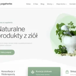 Strona sklepu E-commerce.