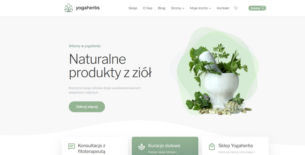 Strona sklepu E-commerce.