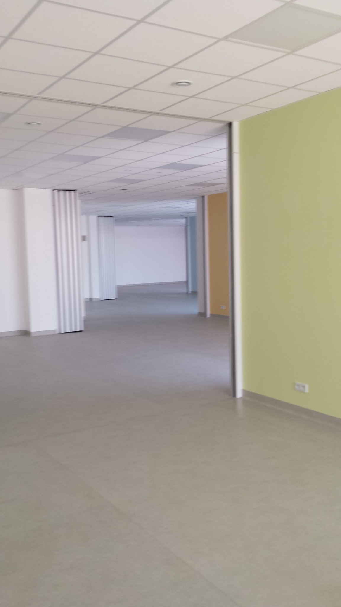 Pusta przestrzeń biurowa z sufitami kasetonowymi, świeżo pomalowanymi ścianami w odcieniach zieleni i szarości oraz widocznymi gniazdkami elektrycznymi przy podłodze.
