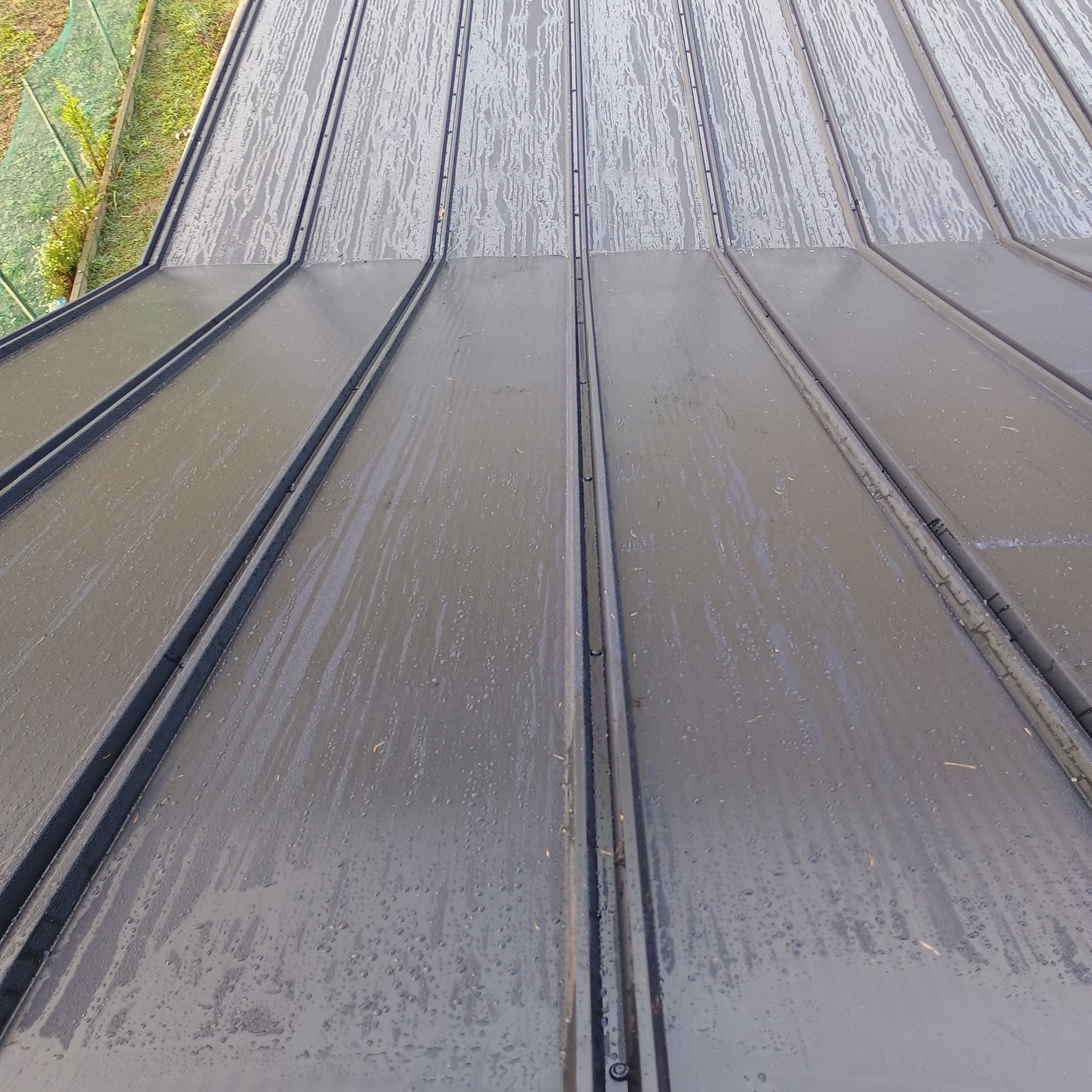 Metalowy dach w Rypinie pokryty kroplami deszczu, widoczne łączenia blachy na rąbek stojący i fragment zieleni w tle.