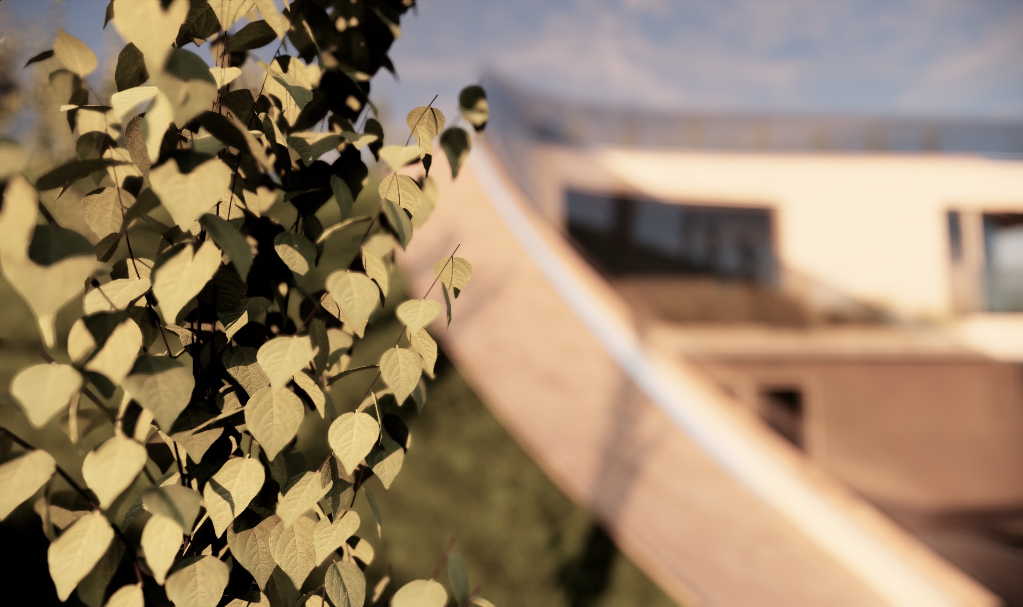 Nowoczesny dom z płaskim dachem widziany przez liście drzewa w ciepłym, popołudniowym świetle.