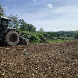 Wycinka drzew Zawoja 4