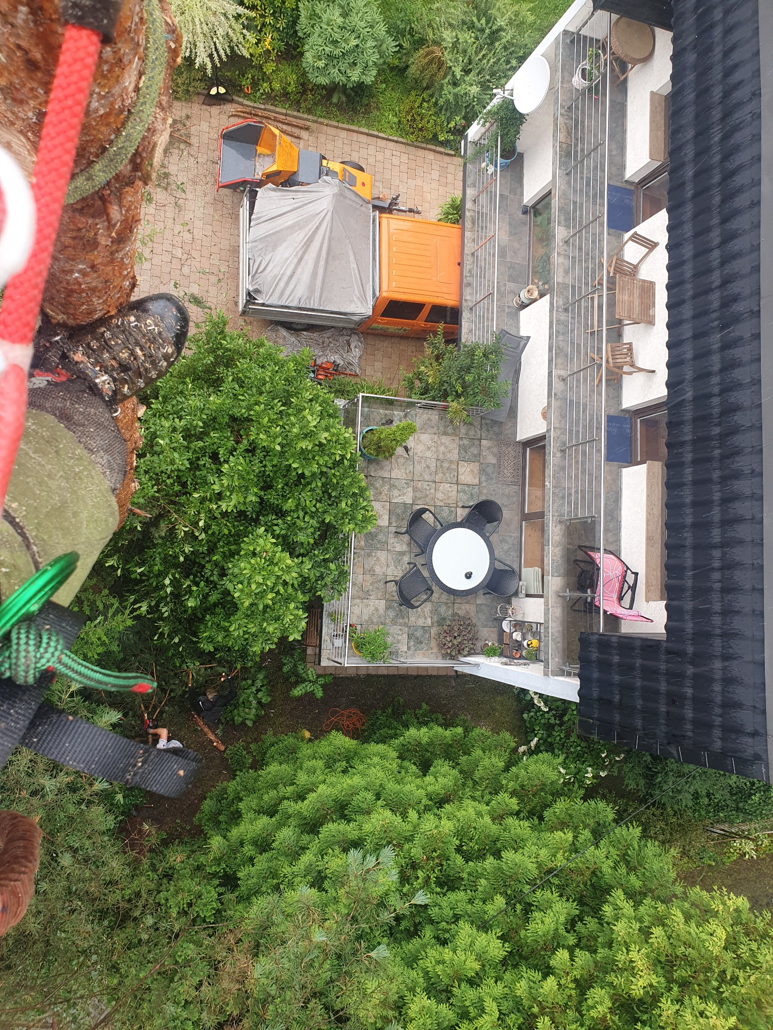 Widok z góry na podwórko z drzewami, meblami ogrodowymi i budynkiem, z perspektywy osoby wspinającej się na drzewo, widoczne liny i sprzęt wspinaczkowy, w tle maszyna do rozdrabniania gałęzi...