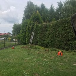 MOWER - Zadbany trawnik - Solidna Wycinka Drzew w Cieszynie