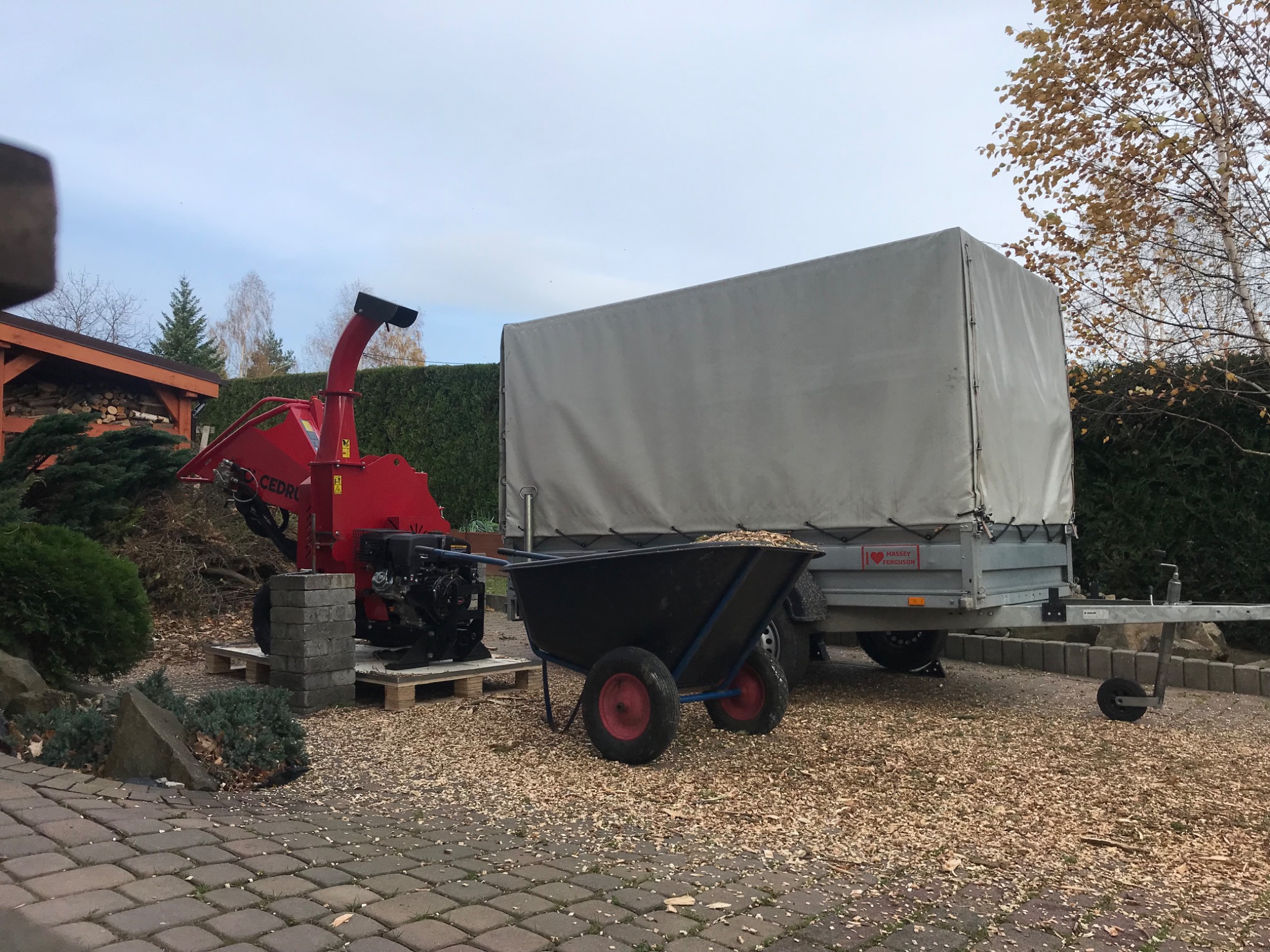 Czerwony rębakiem do gałęzi CEDRUS, czarna taczka wypełniona zrębkami i przyczepa z plandeką na brukowanym podjeździe w jesienny dzień.