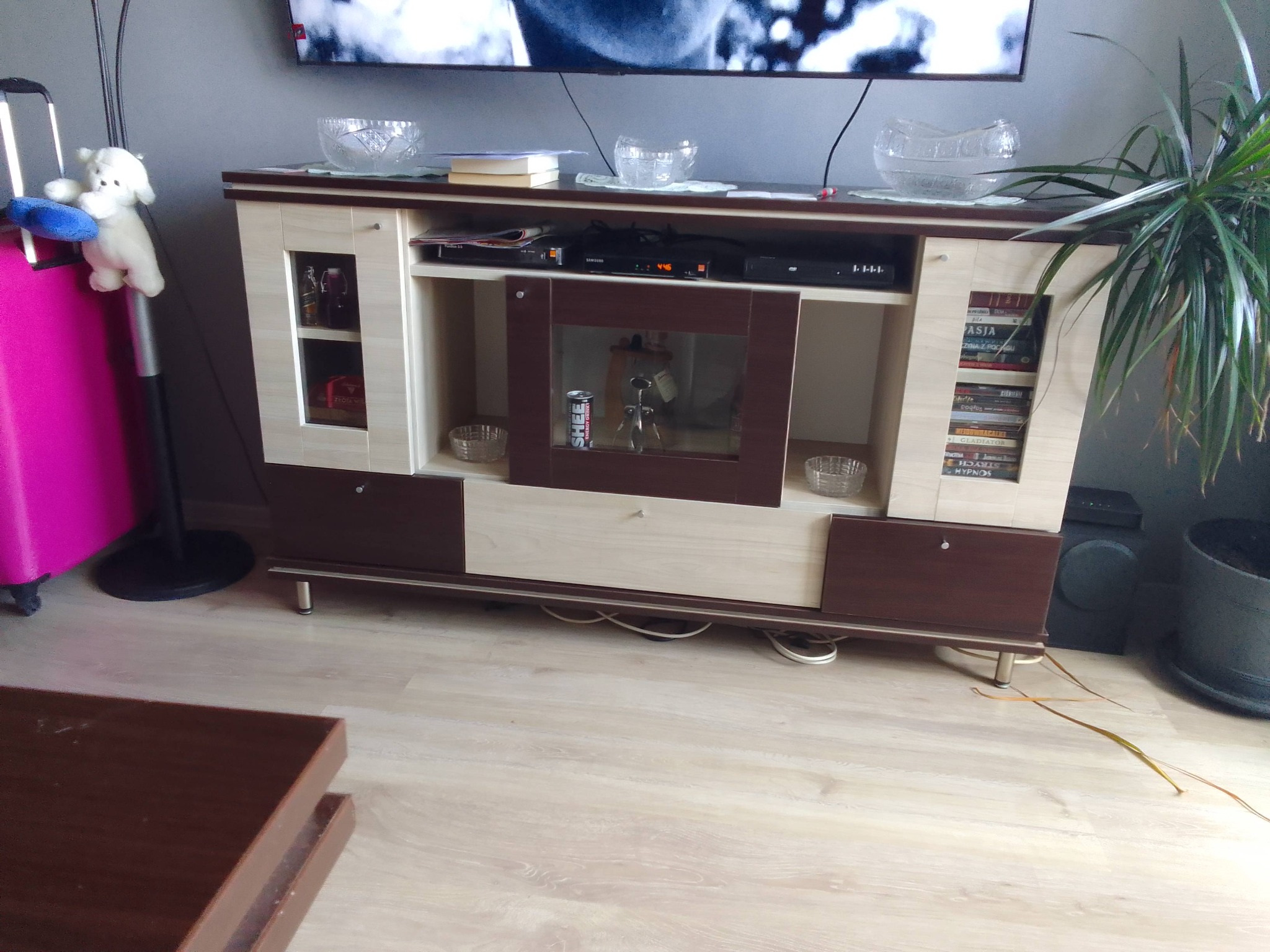 Meble Wolnostojące do Salonu