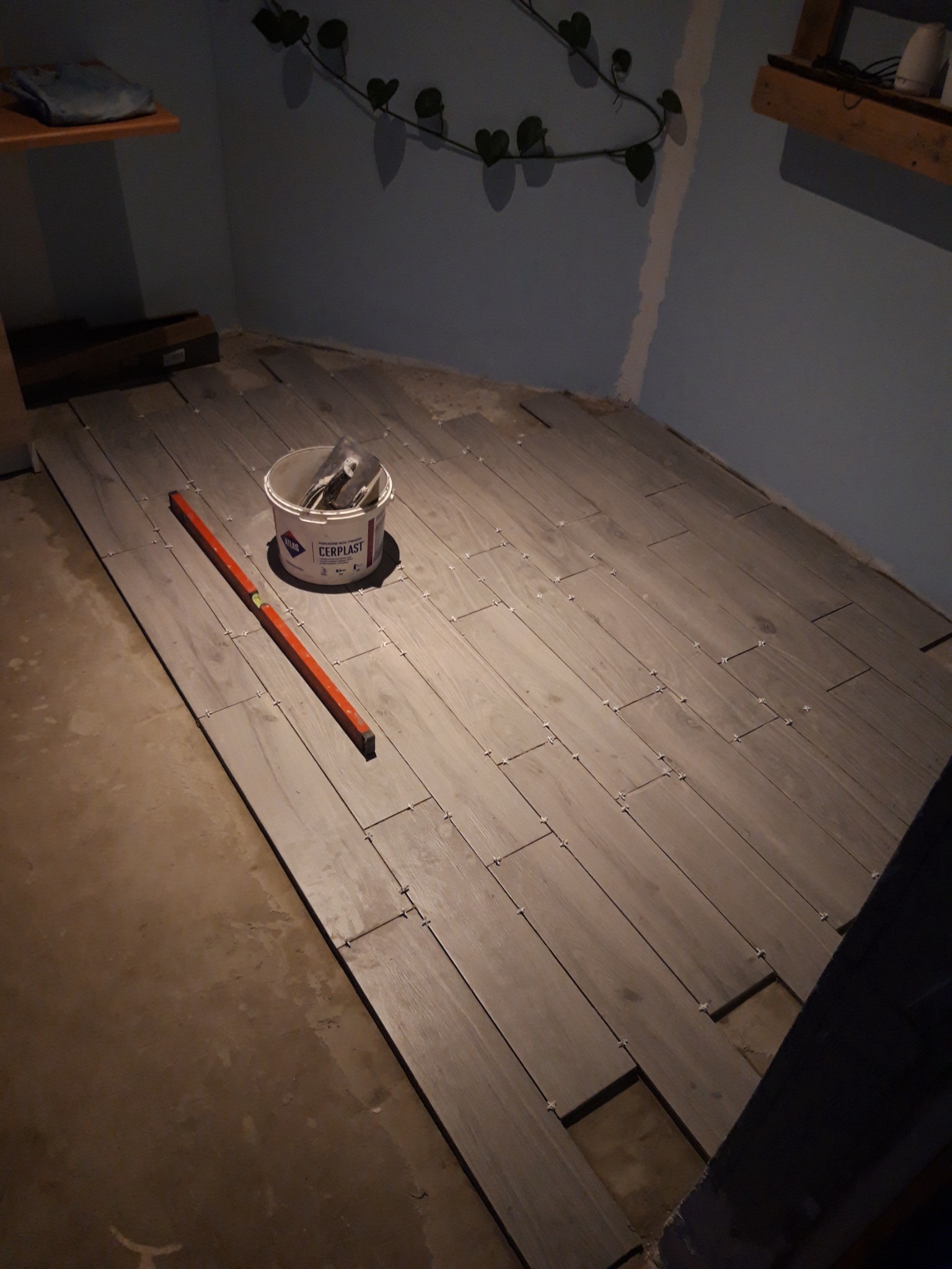 Układanie podłogi z paneli imitujących drewno, widoczny poziomica, wiadro z klejem Cerplast i krzyżyki dystansowe, surowy beton w tle.