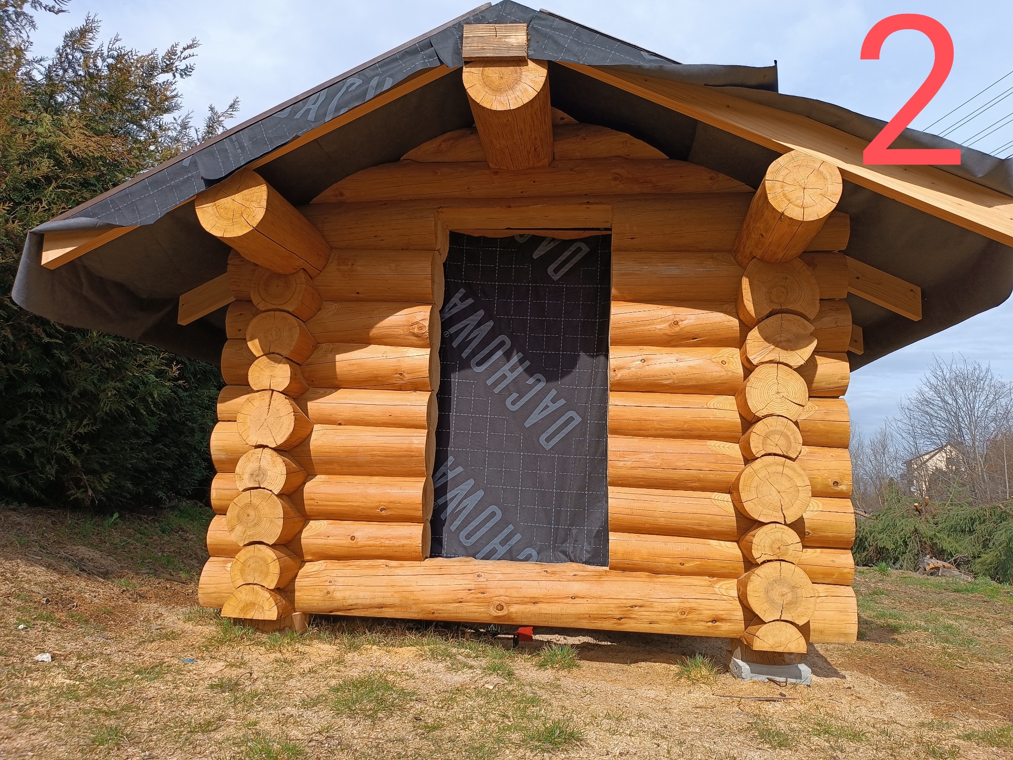 Surowa konstrukcja małego domku z bali z oknem zabezpieczonym czarną folią budowlaną, widoczne zakończenia bali i fragment dachu pokrytego papą.