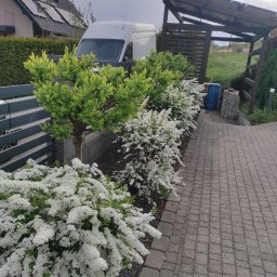 Pielęgnacja ogrodów Wieliczka 1