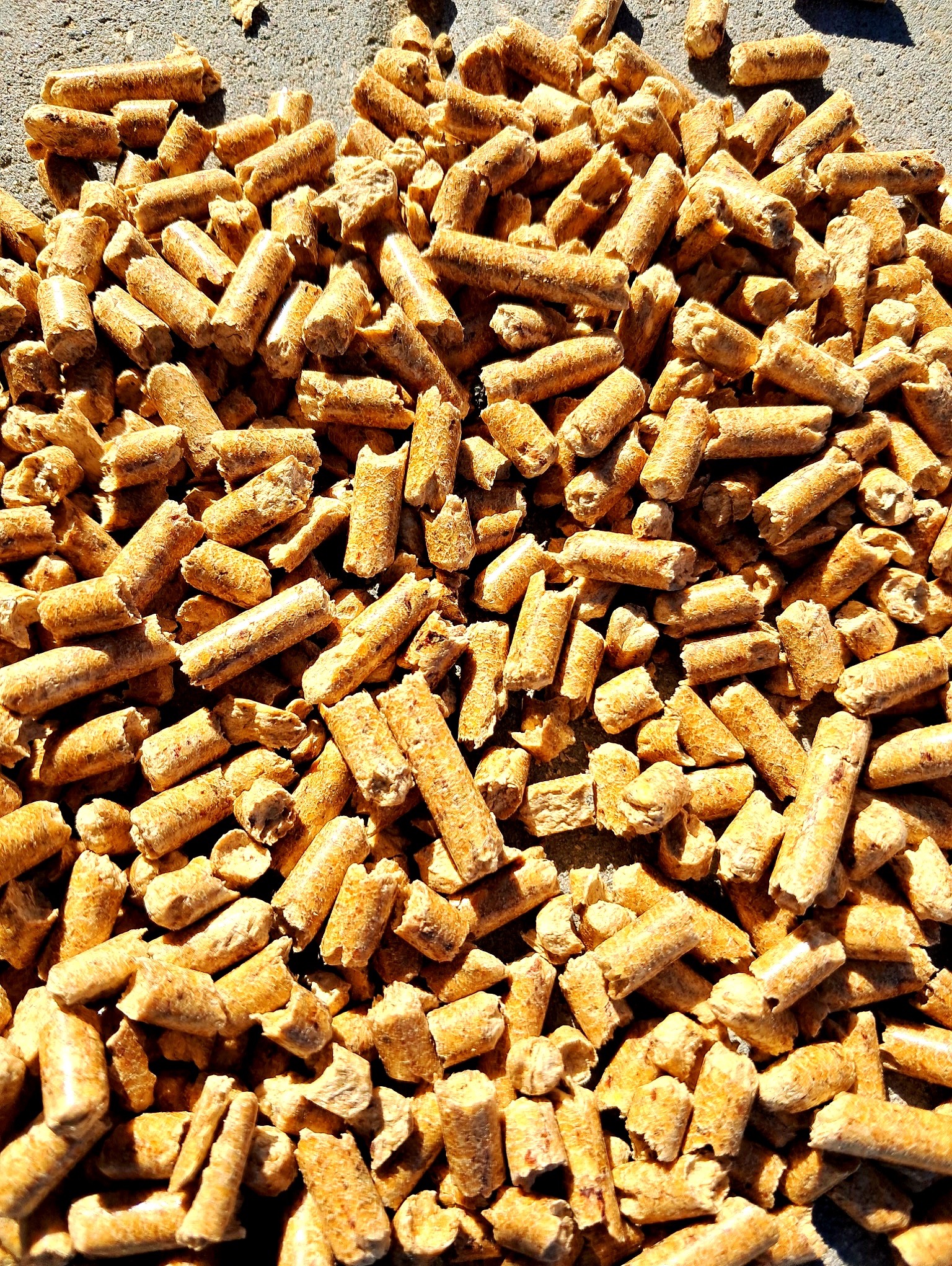 Jasnobrązowy pellet drzewny ułożony na szarej, betonowej powierzchni w słoneczny dzień. Widoczne drobne nierówności i tekstura pelletu.