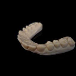 KarDent Lab & Academy - Gipsowy model dolnego łuku zębowego na czarnym tle, prezentujący anatomię zębów i dziąseł.