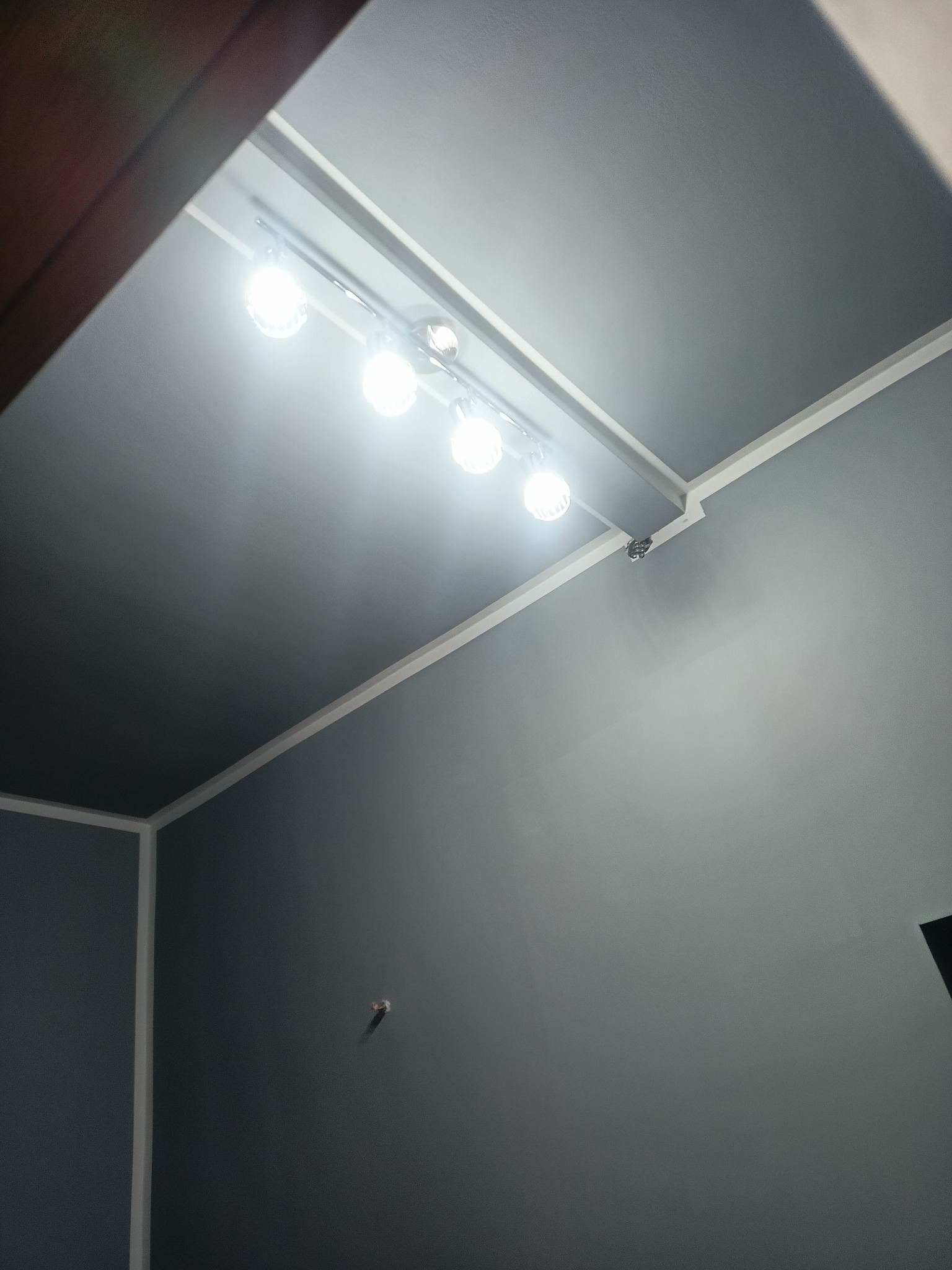 Szare ściany i sufit z zamontowanym oświetleniem punktowym na szynie, widoczna listwa przypodłogowa i fragment brązowej futryny drzwi.