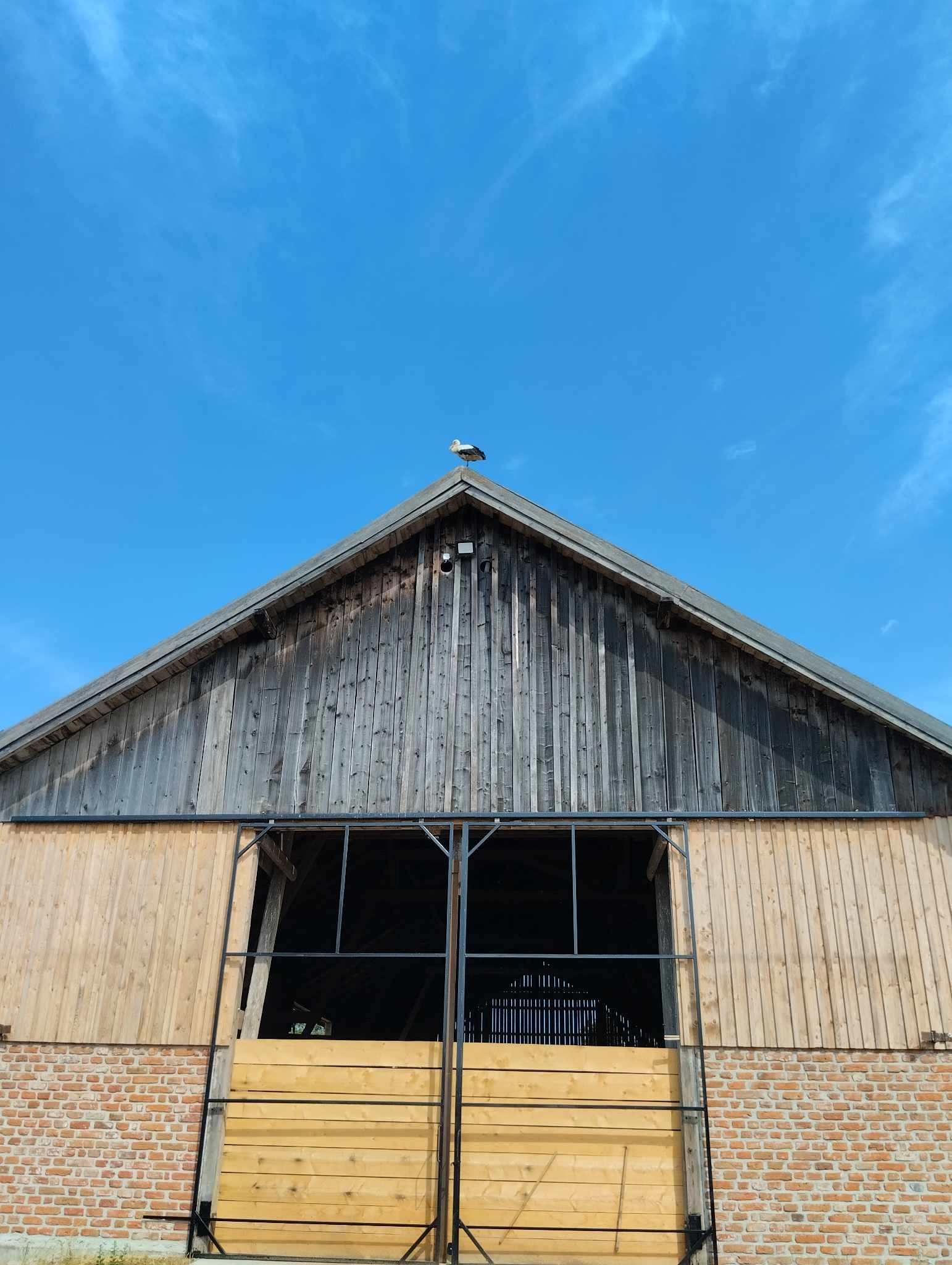 Stary drewniany budynek gospodarczy z ceglaną podstawą i metalowymi drzwiami, na dachu siedzi bocian na tle błękitnego nieba.