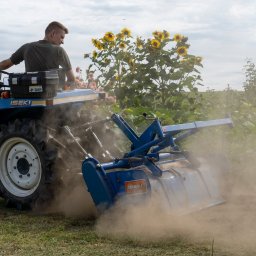 Projektowanie ogrodów Szydłowiec