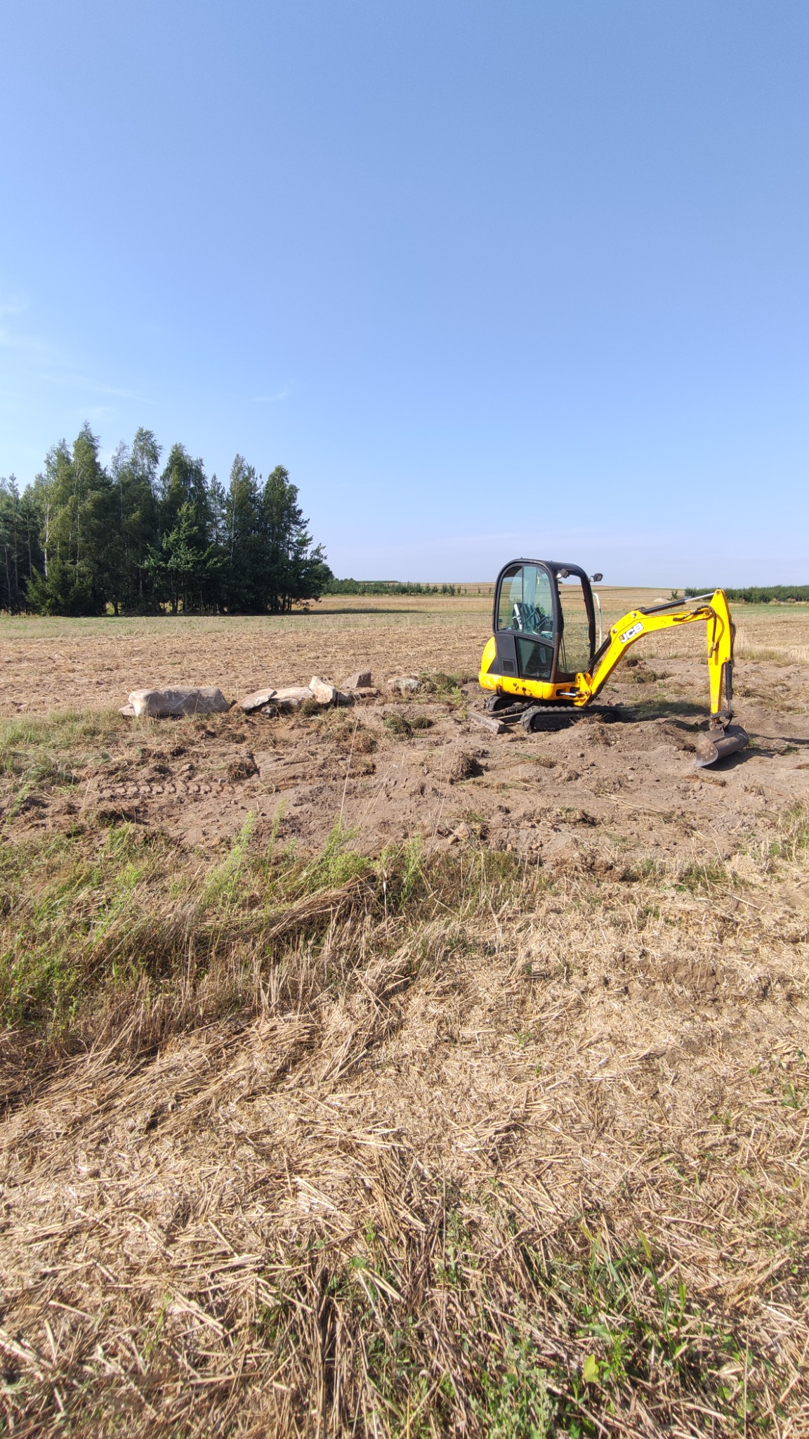 Żółta mini koparka JCB na polu z pozostałościami po usuniętej roślinności, obok leżą porozrzucane kamienie, w tle widoczny las i błękitne niebo.