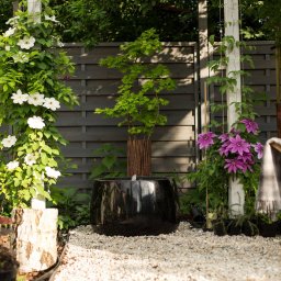 Nowska Studio Magdalena Romanowska - Tarasy Wrocław