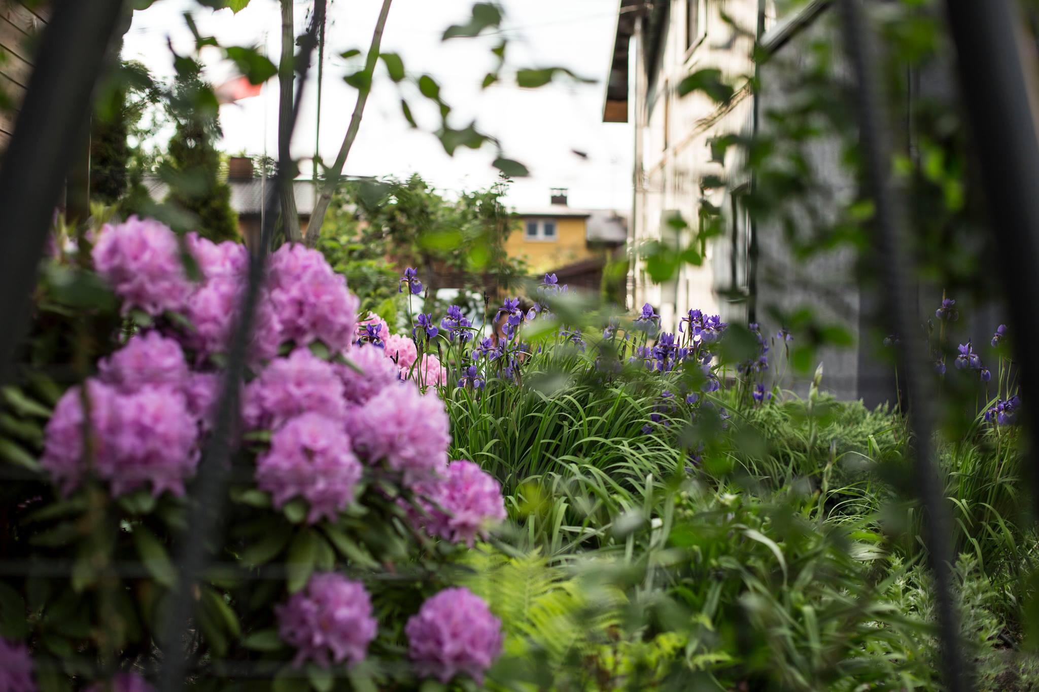 Realizacja jednego z moich projektów w podwarszawskiej miejscowości