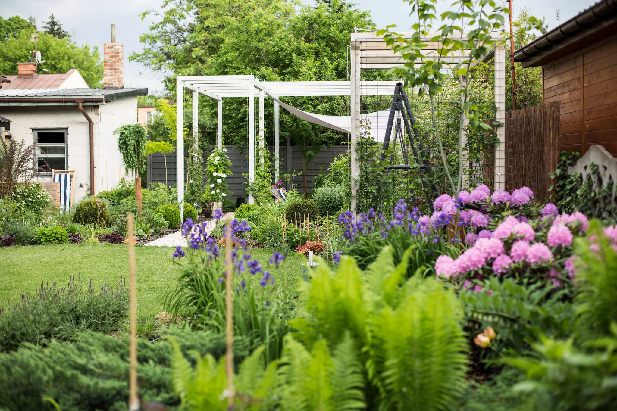 Urokliwy ogród z białym pergolą, hamakiem i różnorodnymi kwiatami, w tym różowe rododendrony i fioletowe irysy, na tle domków jednorodzinnych.