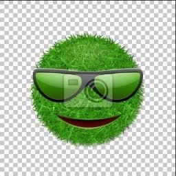 Wesoły Trawniczek Mateusz Machnik - Przesadzanie Drzew Ł&oacute;dź