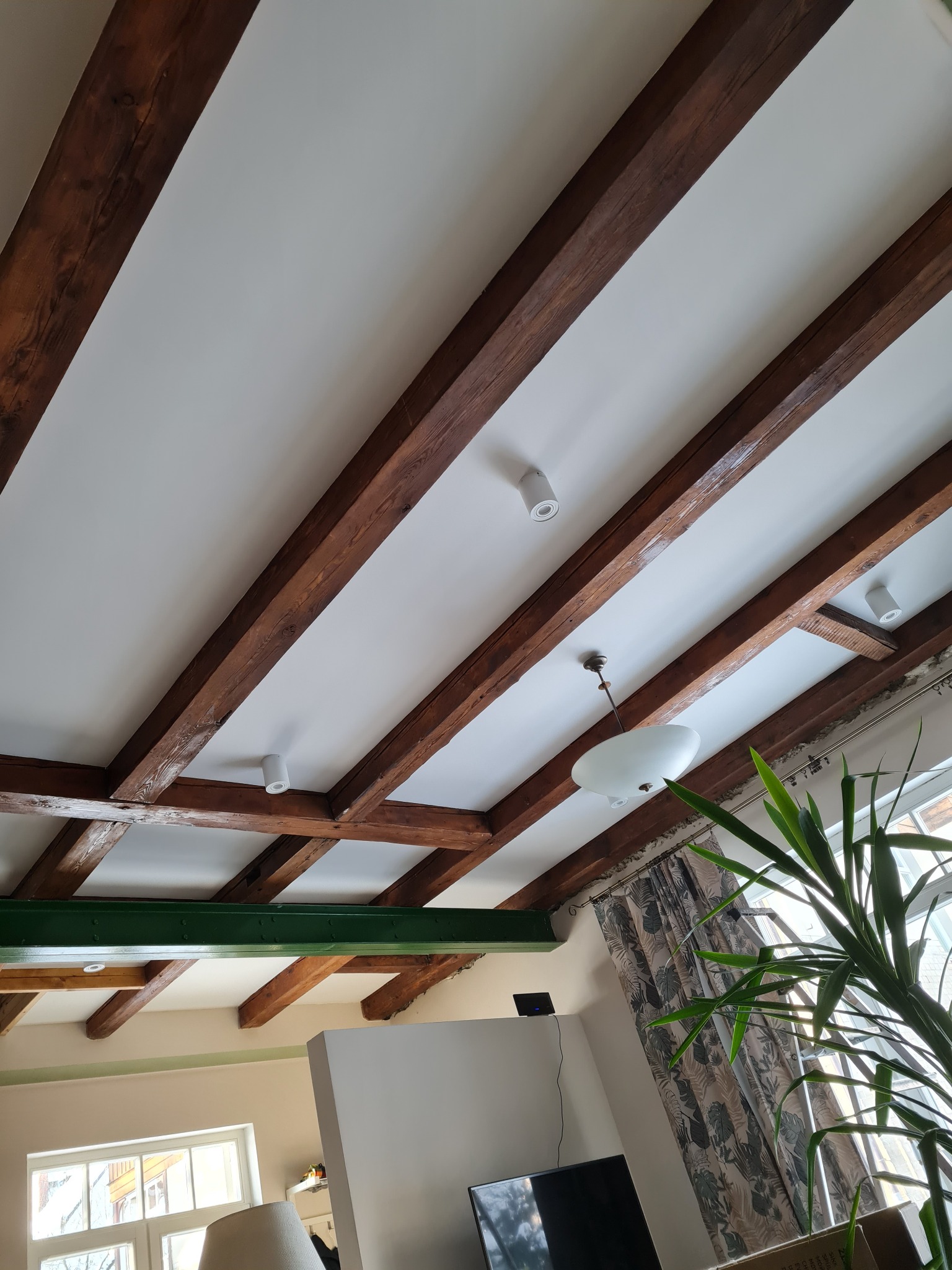 Biały sufit z widocznymi drewnianymi belkami, oświetleniem punktowym i wiszącą lampą, widok z dołu na wnętrze pokoju z zieloną belką i rośliną w rogu.