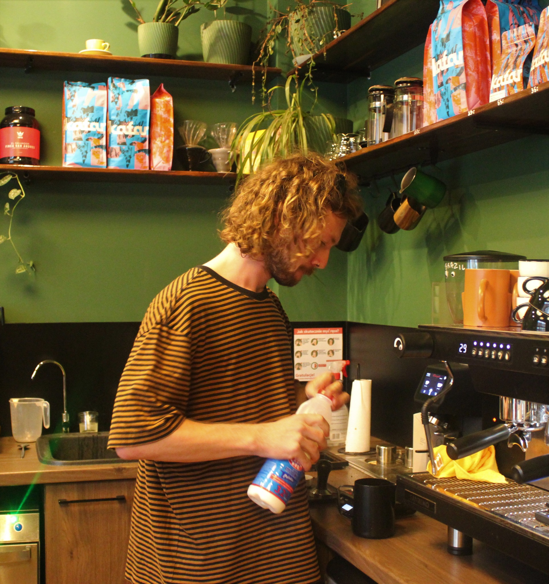 Barista w paski czyszczący ekspres do kawy w kawiarni z zielonymi ścianami i półkami z kawą i roślinami.