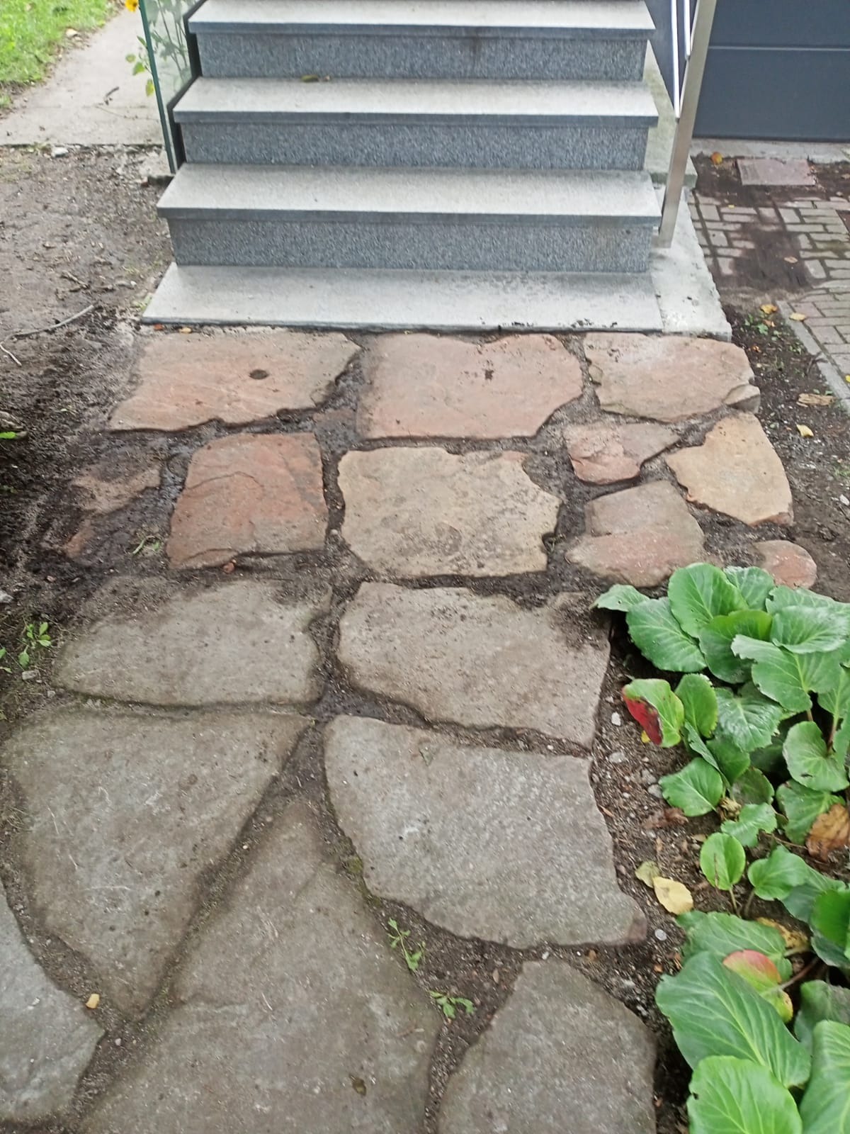 Ułożona ścieżka z nieregularnych kamieni prowadząca do granitowych schodów wejściowych, obok rosną kapusty ozdobne.