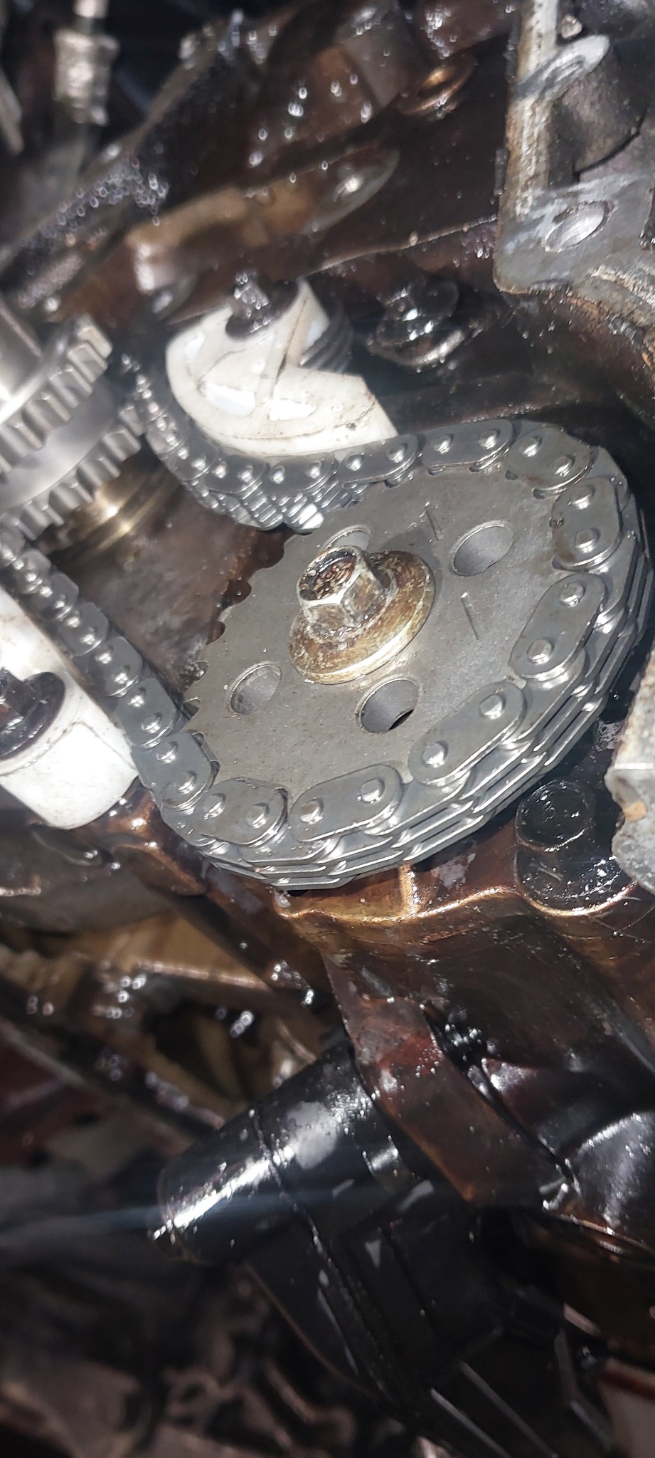 Zbliżenie na łańcuch rozrządu i zębatkę w silniku samochodowym, widoczne ślady oleju i zabrudzenia.