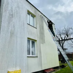 Mycie elewacji