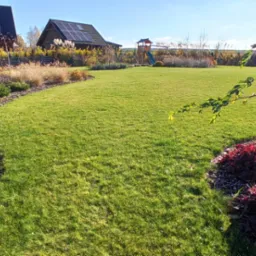 Rozległy, zadbany trawnik z wyraźnie wytyczonymi granicami rabat z korą i ozdobnymi krzewami; w tle domy, w tym jeden z panelami słonecznymi, oraz plac zabaw.