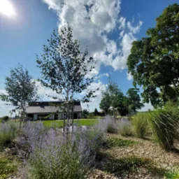 Zakładanie ogrodów