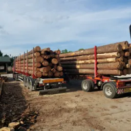 Dwa załadowane drewnem transportowe samochody ciężarowe na placu, widoczne ślady kory i drewna na ziemi, błękitne niebo z chmurami w tle.