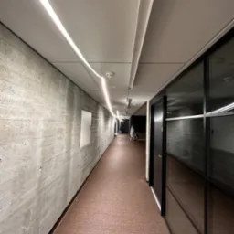 Korytarz biurowy z surową betonową ścianą, podwieszanym sufitem z liniowym oświetleniem LED i wykładziną dywanową w odcieniach brązu, widoczne drzwi z czarnymi ramami i szklanymi panelami.