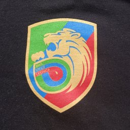 Logo klubu sportowego na koszulkach bawełnianych - sitodruk 4 kolory.