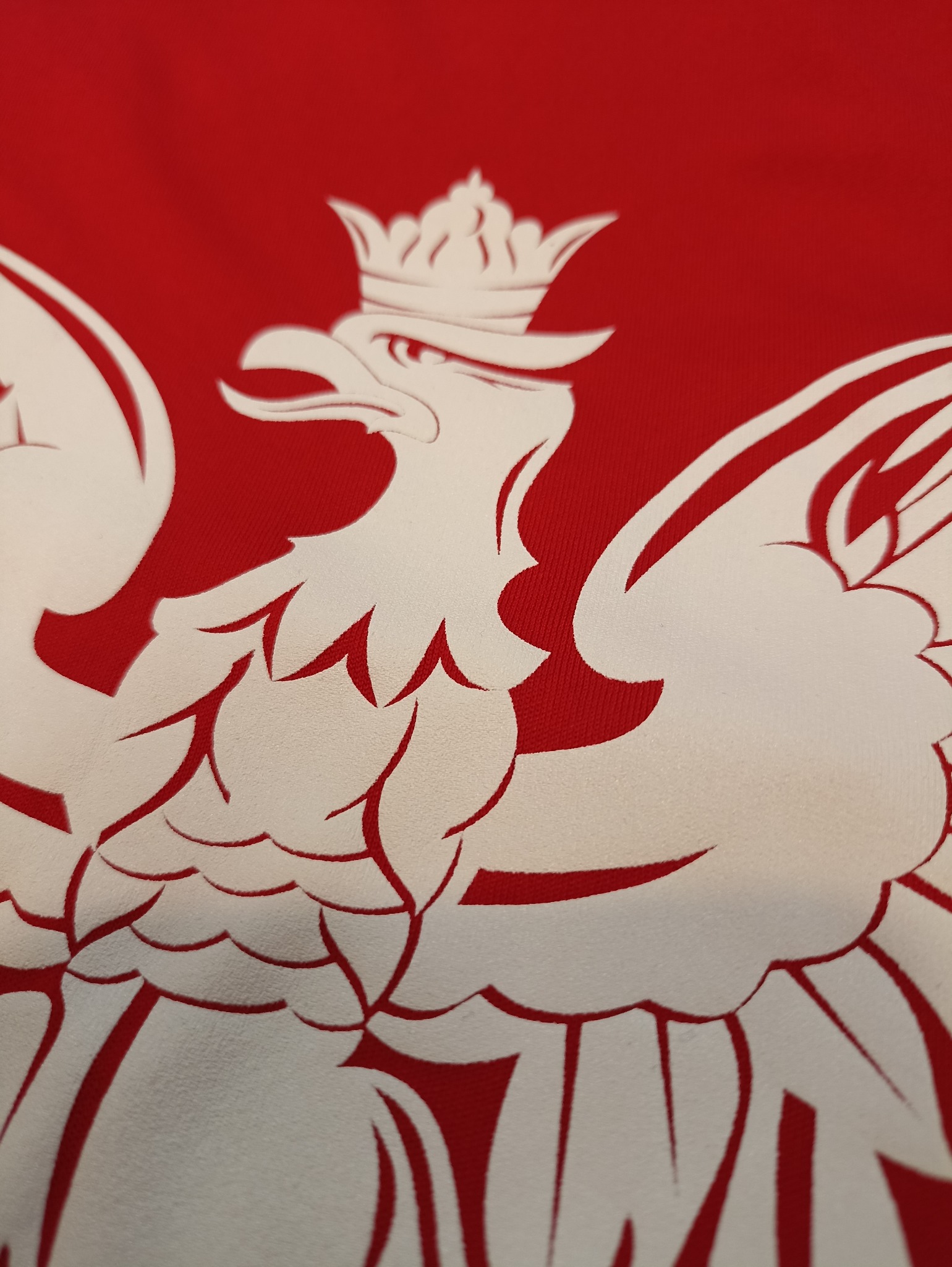 Orzeł wykonany na koszulce poliestrowej 1 kolor - metoda druku sitodruk.