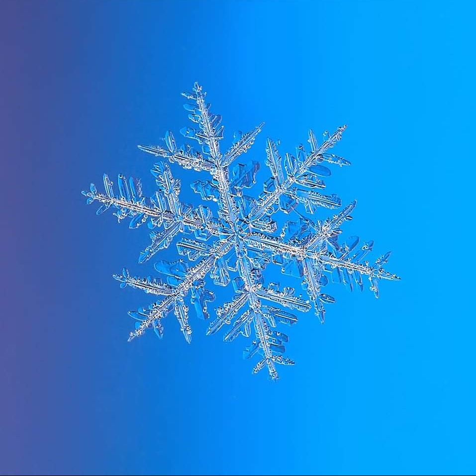 Makro zdjęcie pojedynczego, sześcioramiennego kryształu śniegu na gradientowym tle od fioletu do błękitu, ukazujące jego delikatną, symetryczną strukturę.