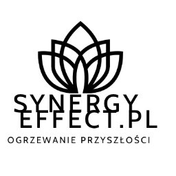 SynergyEffect sp.zo.o - Klimatyzacja Leszno