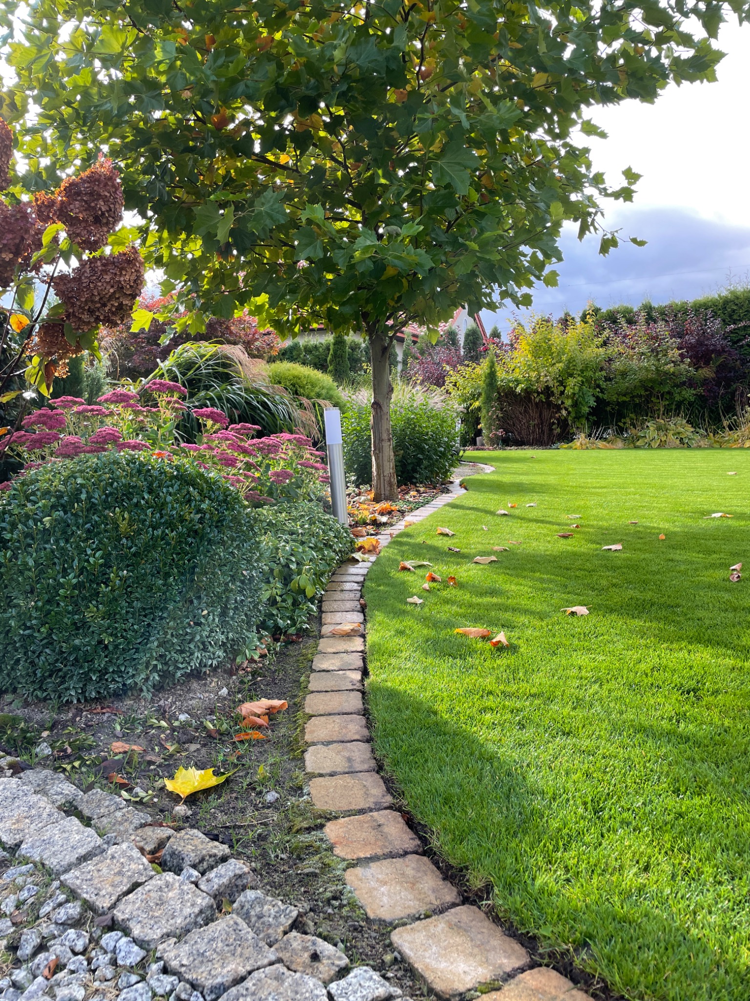 Utrzymany trawnik z równo przyciętą trawą, obrzeżem z kostki brukowej i roślinnością ozdobną, w tym drzewo liściaste i krzewy z różowymi kwiatami.
