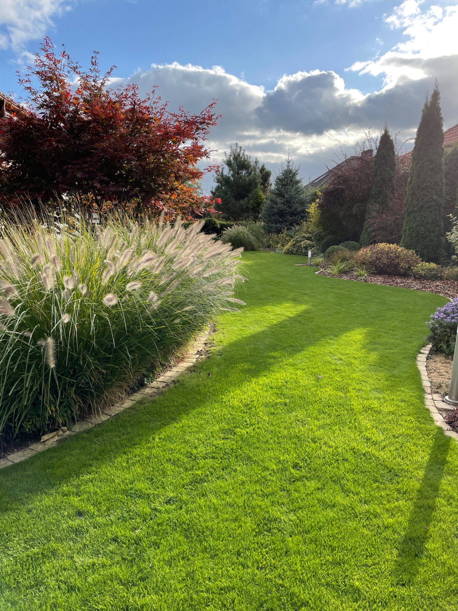 Zadbany ogród z równo przystrzyżonym trawnikiem, ozdobnymi trawami i drzewami liściastymi oraz iglastymi w słoneczny dzień.