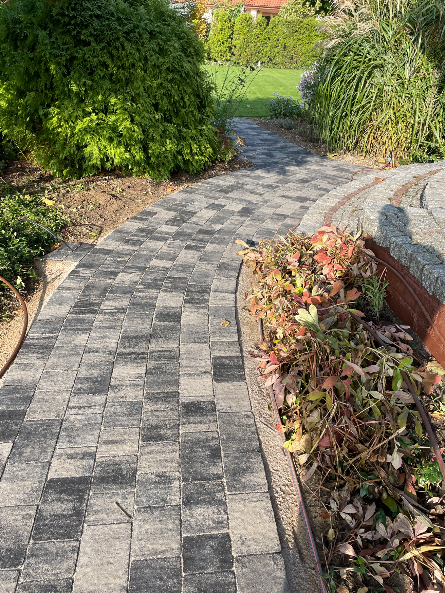 Zakrzywiony chodnik z szarej kostki brukowej w szachownicę, otoczony roślinnością ogrodową i elementami architektury krajobrazu, widok z perspektywy pieszego.